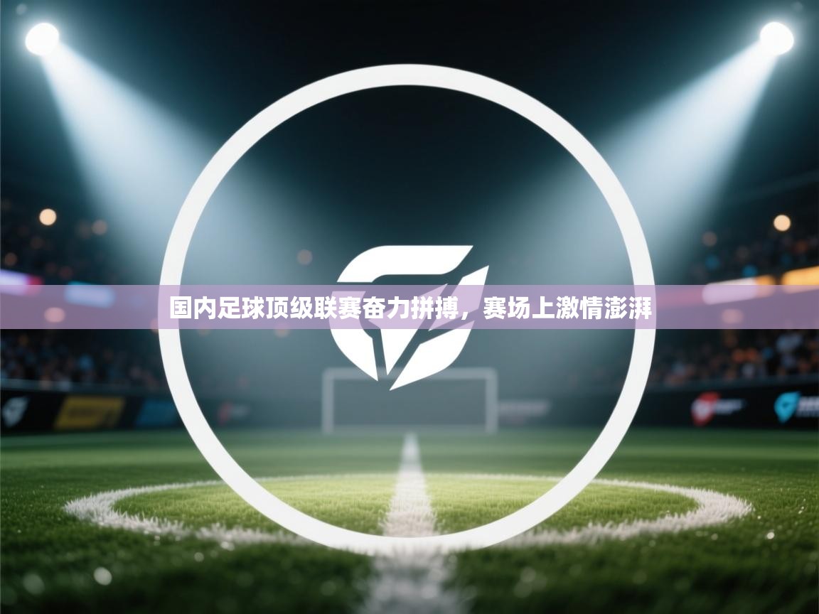 国内足球顶级联赛奋力拼搏,赛场上激情澎湃 第1张