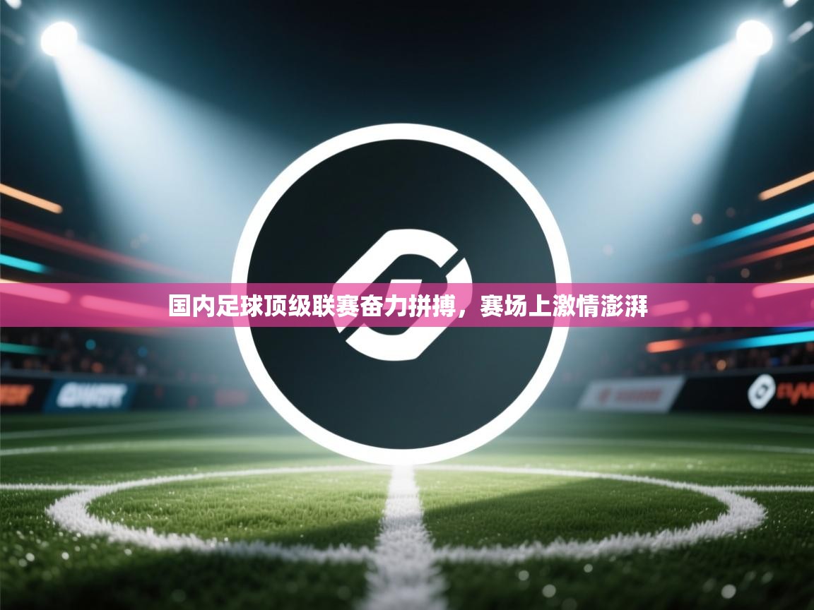 国内足球顶级联赛奋力拼搏,赛场上激情澎湃 第2张