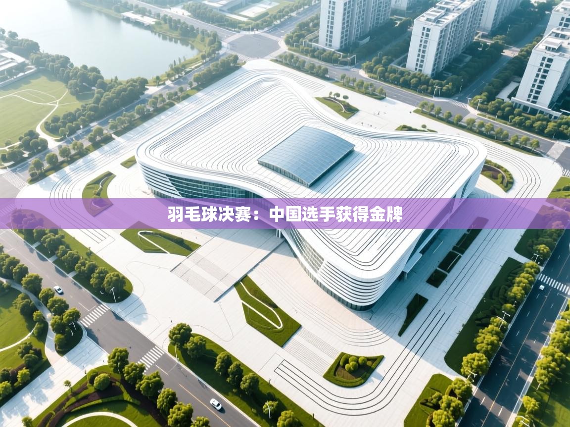 羽毛球决赛:中国选手获得金牌 第1张