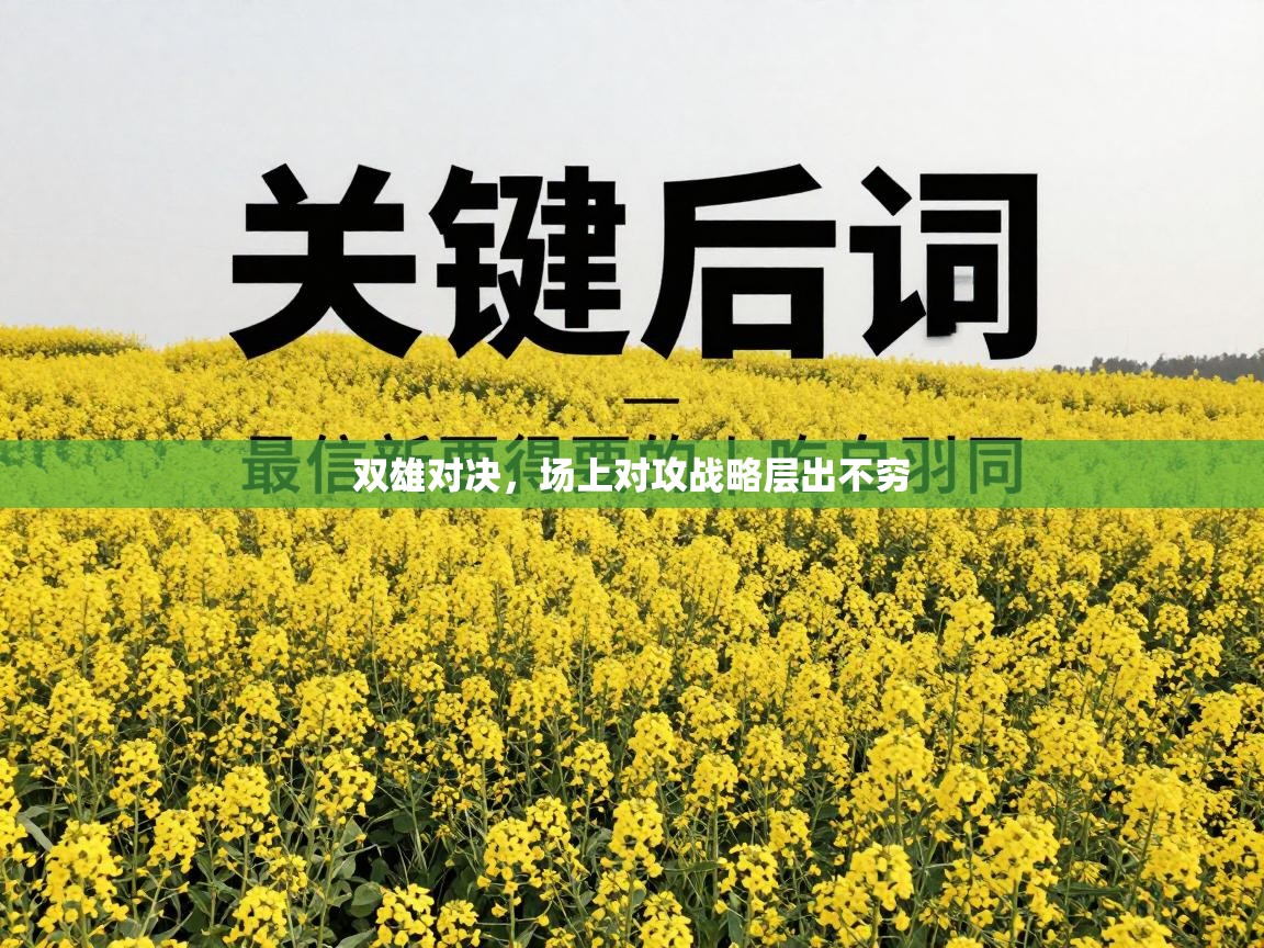 双雄对决，场上对攻战略层出不穷  第1张