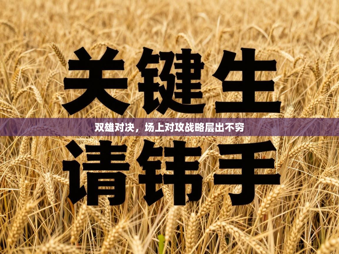 双雄对决，场上对攻战略层出不穷  第2张